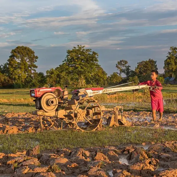 Corn Harvester